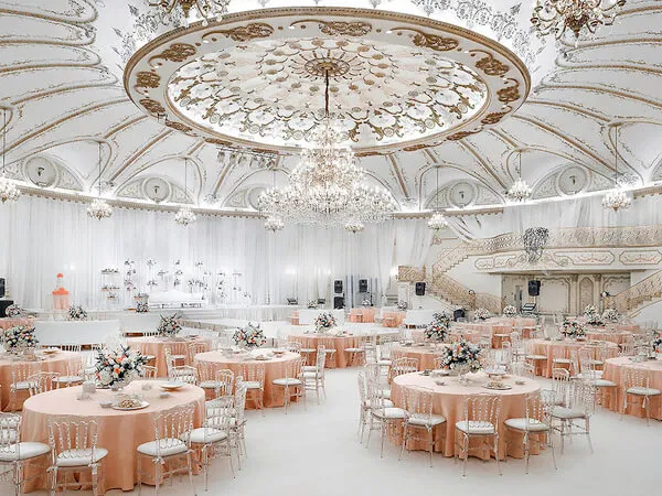 القاعات الفندقية VIP